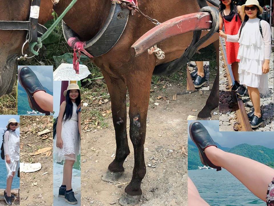 Thu Hiền RIORI