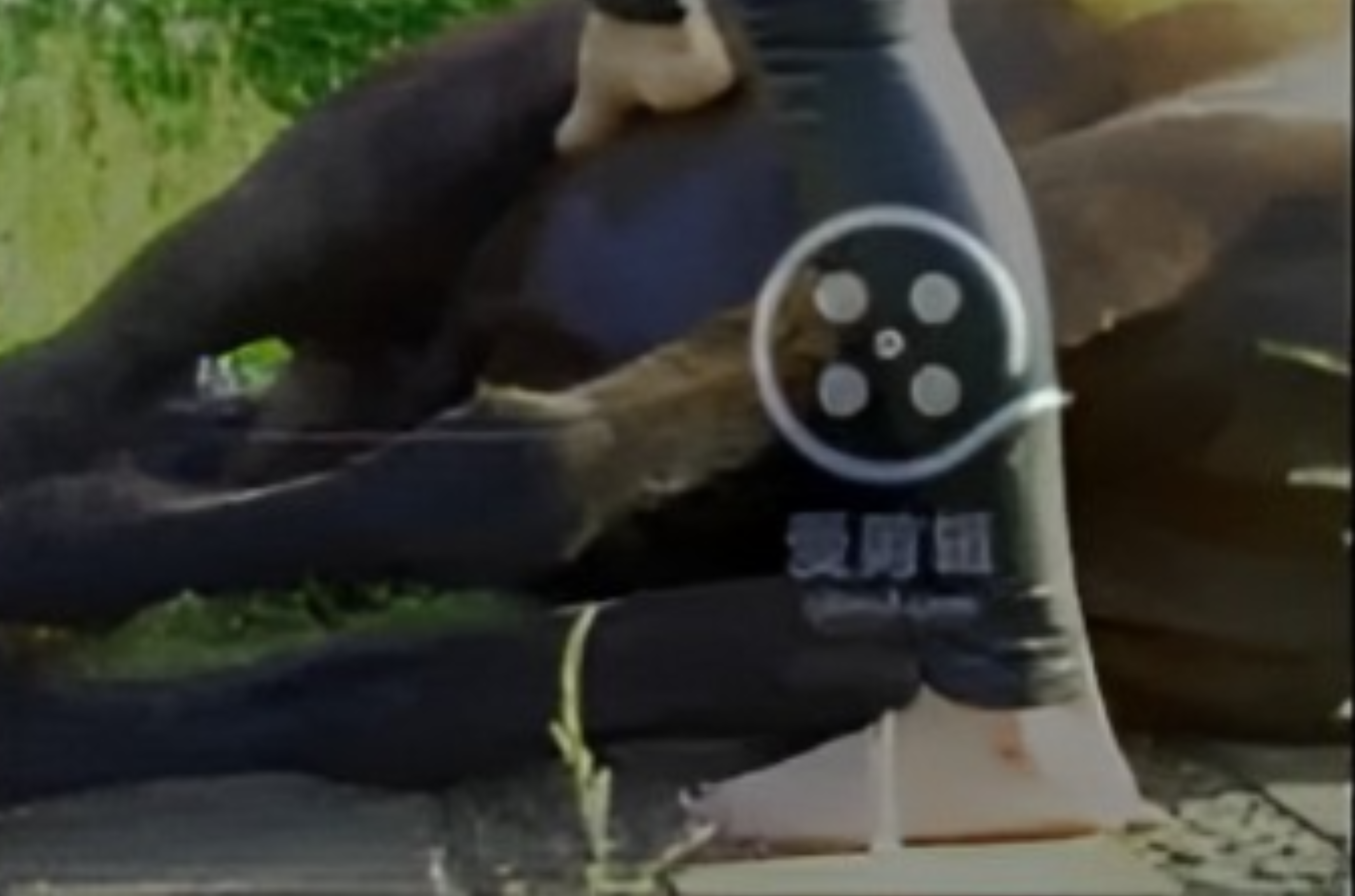 /wp-content/uploads/2023/03/png-2.png 1280w, wp-content/uploads/2023/03/png-2-500x281.png 500w, wp-content/uploads/2023/03/png-2-1024x576.png 1024w, wp-content/uploads/2023/03/png-2-768x432.png 768w
